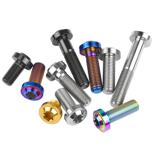 Titanium bolt m10 - titanium,