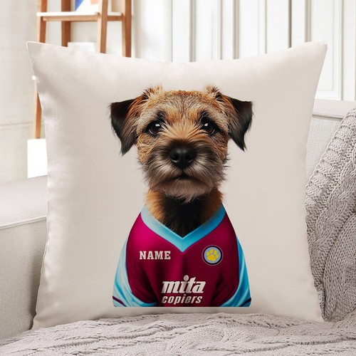 Aston villa border - aston,
