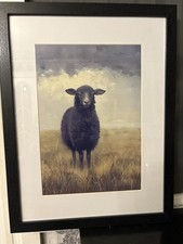 Baa Baa Black Sheep Framed