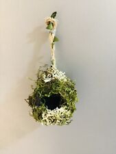 Jumping Spider  Magnetic Moss Ball Hide (large) 19cm circumference 