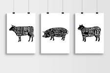 Butchers Meat Cuts Diagrams