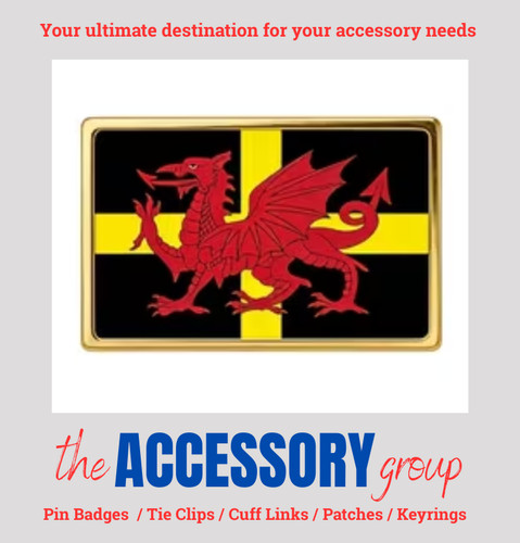 New welsh dragon david - new,