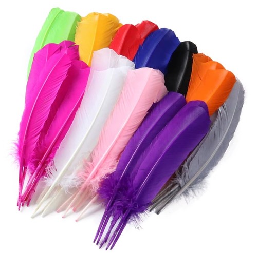 35cm turkey feathers quill - feathers,