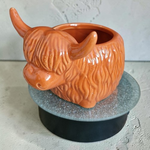 Nice highland cow planter - a,