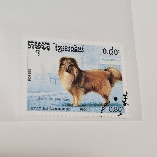 Sheltie shetland sheepdog dog - shetland,