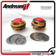Andreani Compression Pump