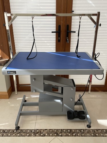 Electric dog grooming table - dog,