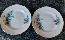 royal tara bluebell plates bone China side plates blue flower cake plates