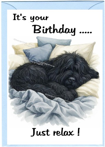 Briard dog birthday card - briard,