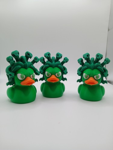 Medusa duck - medusa,