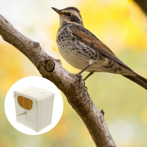 Breeding box for finches bird - box,