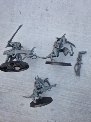Tyranid warriors tyranids - tyranid,