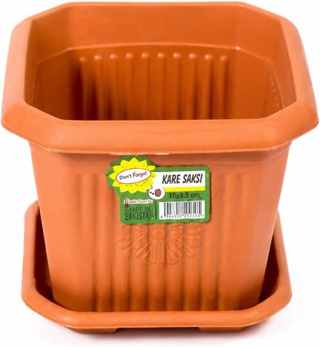 Square plastic plant pot - plant,