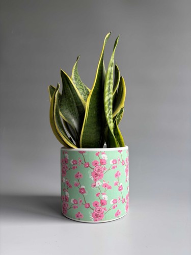 Cherry blossom print indoor - blossom,