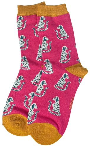 Dog socks ladies - dog, dalmatian