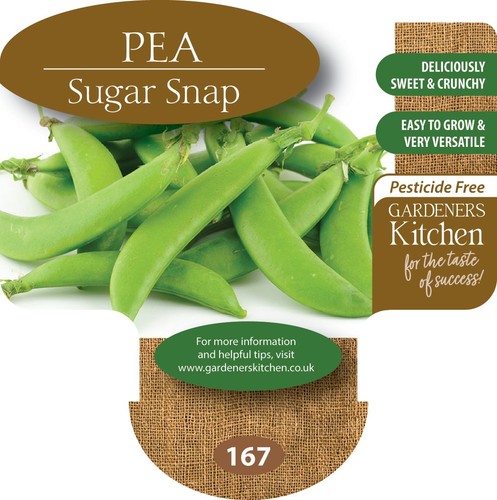 Sugar snap pea plants 6 - snap,