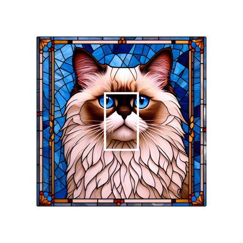 Birman cat kitten stained - birman,