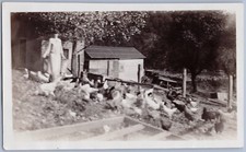 Woman Feeding Chickens on Slope, Wooden Outbuildings, Vintage BW Photo
