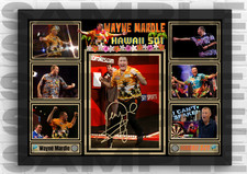 Wayne Mardle Hawaii 501 PDC Darts A4/A3 Memorabilia/Collectable signed #326