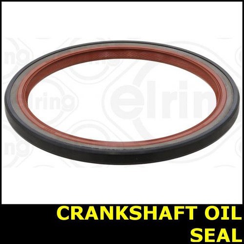Crankshaft oil seal - oil,