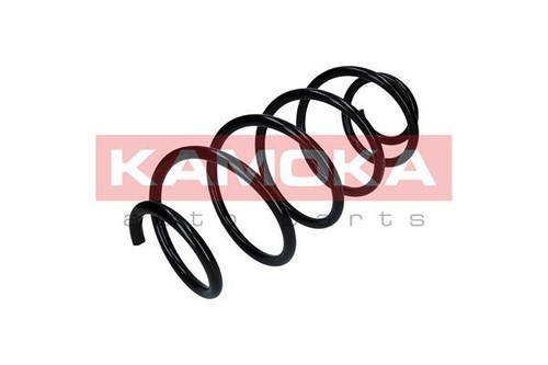 New coil spring - new,