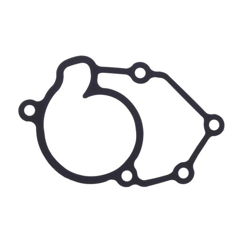 Water pump gasket - water,