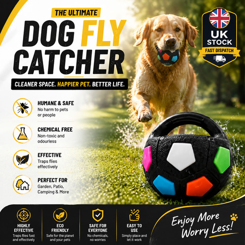 Dog soccer interactive tug - soccer,
