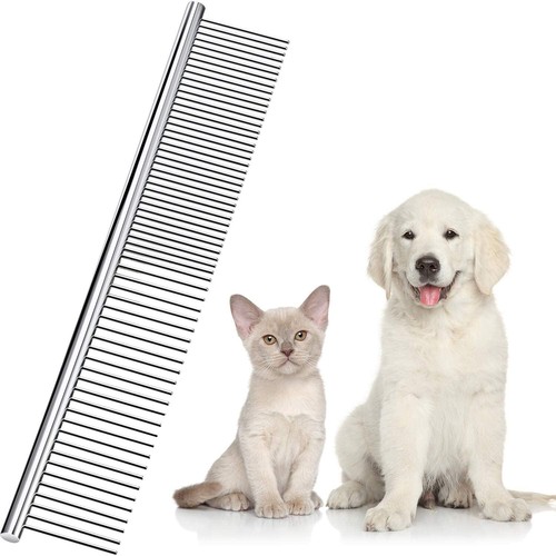 Professional pet dog grooming - dog,