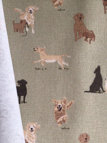 Sophie allport labradors - allport,