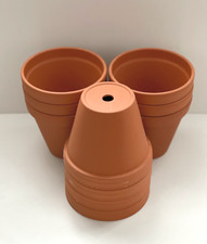 Traditional terracotta plant - terracotta,