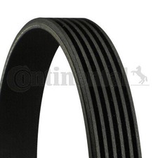 Ribbed V-belt CONTINENTAL CTAM 6PK1352 for CITROËN,FORD,FORD