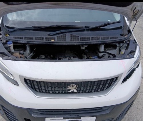 Peugeot expert 2019 blue - peugeot,