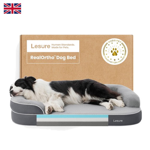Orthopedic memory foam - orthopedic, dog