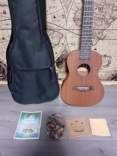 Dripe uk23 concert - dripe, ukulele