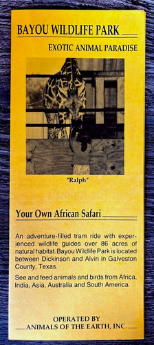 1990s alvin texas bayou - texas,