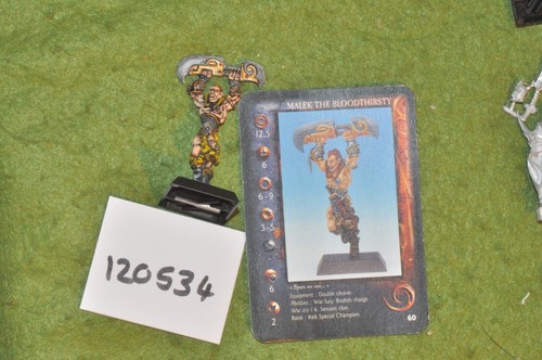 28mm fantasy rackham malek - rackham,