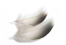 Veniard Mallard Duck bronze shoulders selected 10 Pack