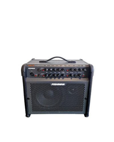 Fishman loudbox 100 - -, guitar