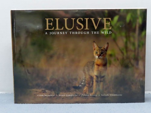 Elusive journey through the - journey,