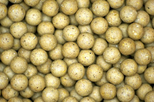 Tiger nut carp bait kg - bait,