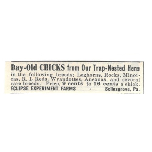 Eclipse experiment farms - eclipse,