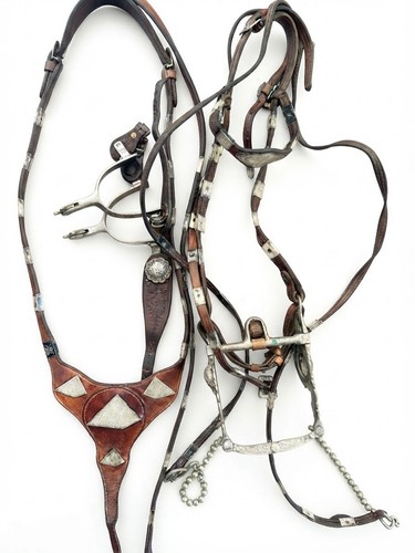 Vtg custom western show - custom,