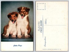 Collie Pups Postcard