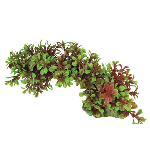 Swell aquarium decoration - aquarium,