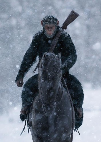 War for the - for, apes