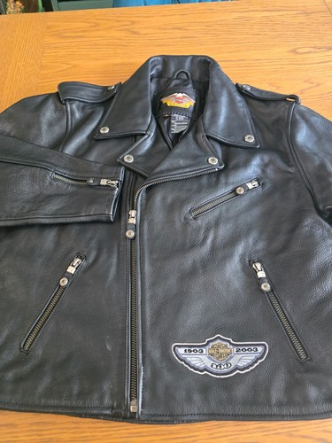 Harley davidson leather - davidson,