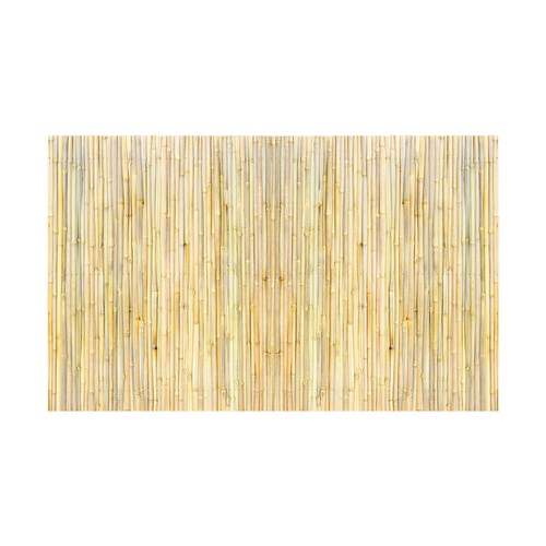 Natural rolled bamboo - rolled, fence