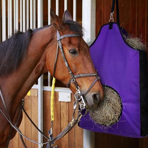 Hay feeder bag horse - horse,