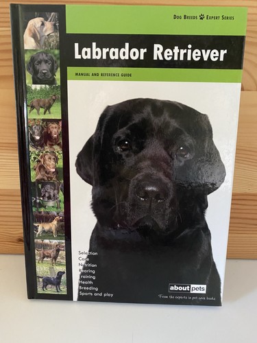 Labrador retriever dog breed - labrador,