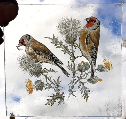 Stained glass goldfinches - stained,